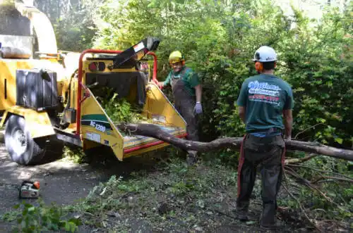 tree services Subiaco